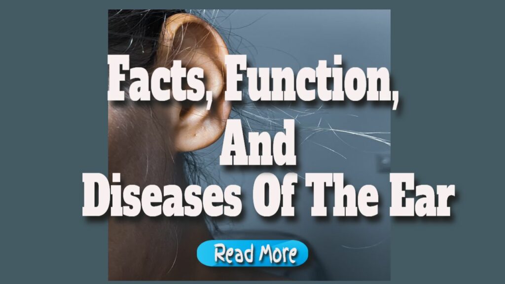 Facts, Function, and Diseases of the Ear